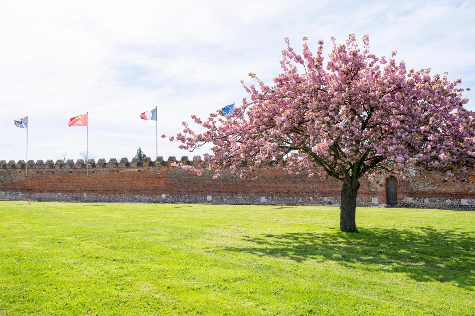 Hotel Chateau De Tilly Boissey-le-Chatel Exterior foto